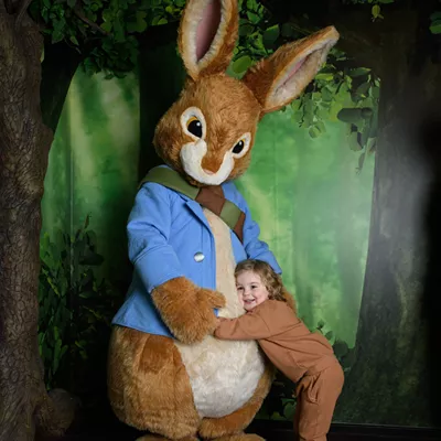 Meet Peter Rabbit and Friends  Peter Rabbit™: Explore and Play